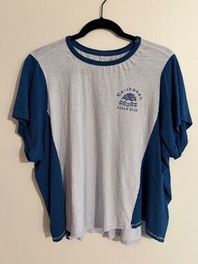 Anthropologie Pilcro color-block graphic tee